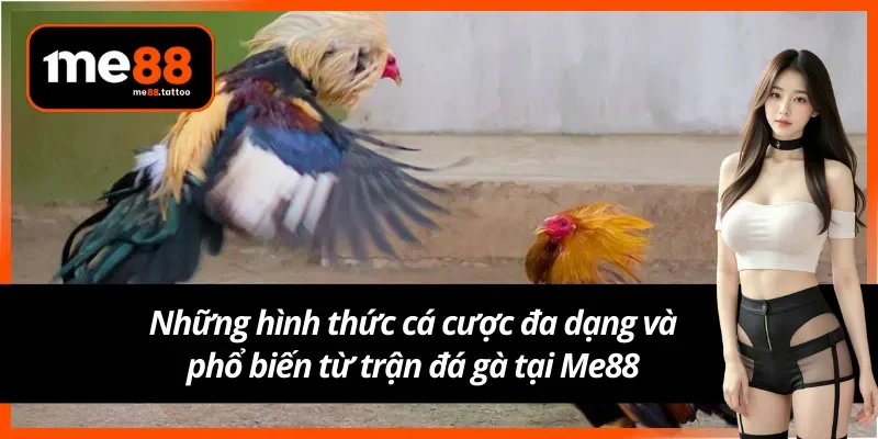 Khám phá các hình thức cược phổ biến nhất khi tham gia chơi đá gà Me88