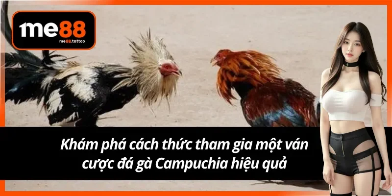 Hướng dẫn chi tiết để tham gia một trận cá cược đá gà Campuchia Me88
