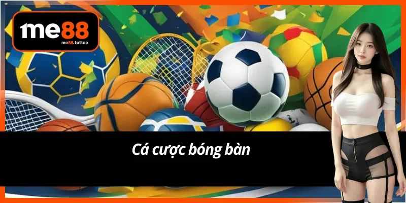 Cá cược thể thao bóng bàn tại Me88