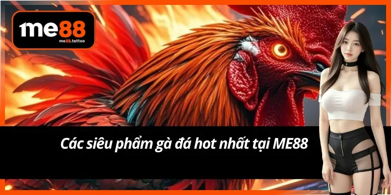 Tổng hợp các siêu phẩm được yêu thích tại sảnh