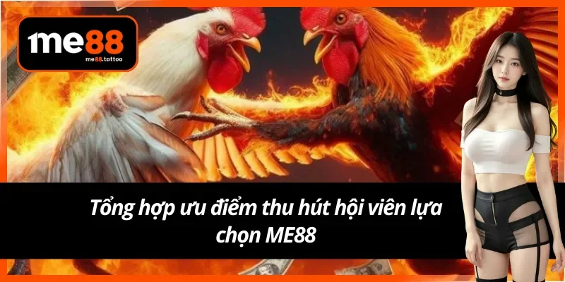 Ưu điểm thu hút người chơi đến với đá gà trực tuyến ME88