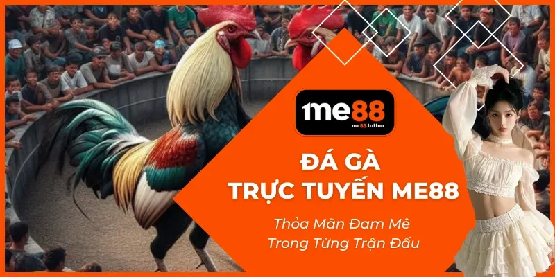 Đá Gà Trực Tuyến ME88