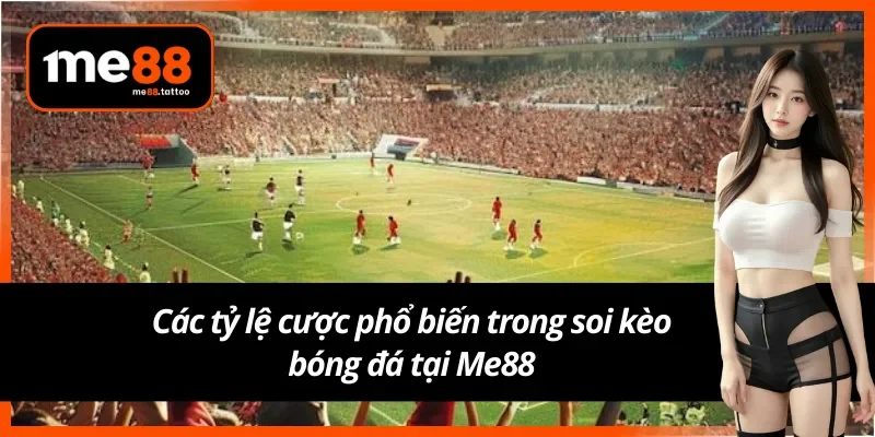 Tỷ lệ cược cơ bản khi soi kèo bóng đá me88